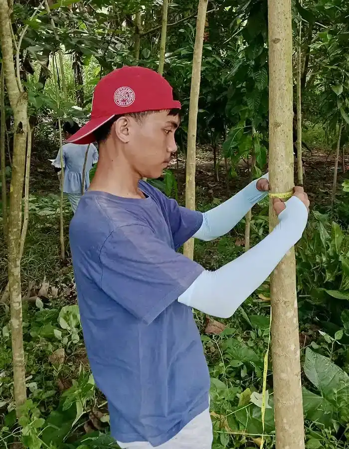 philippine-man-measuring-tree