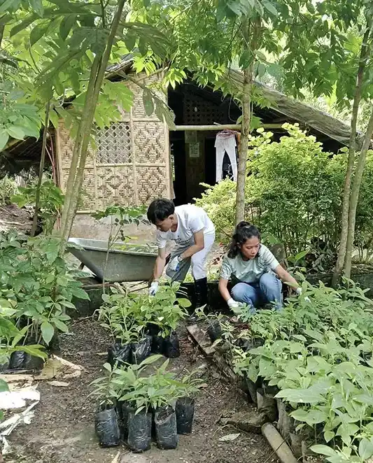 philippines-native-plant-training