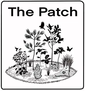 the-patch-logo